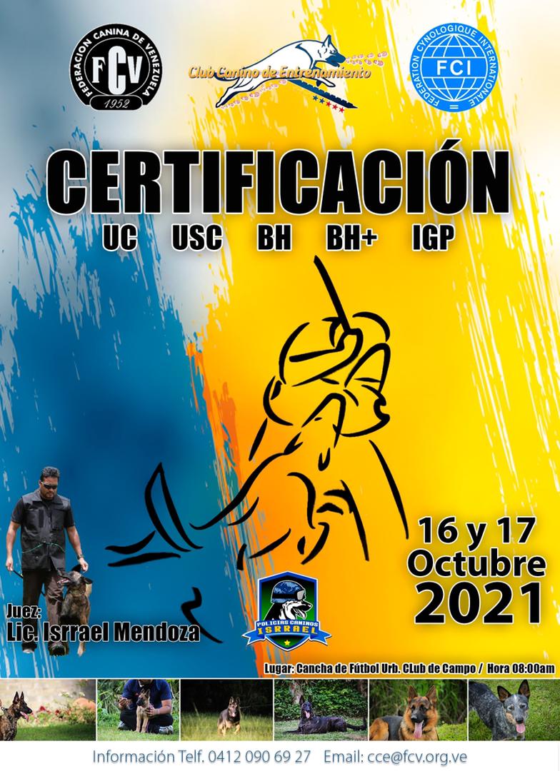 Certificacion 1617102021